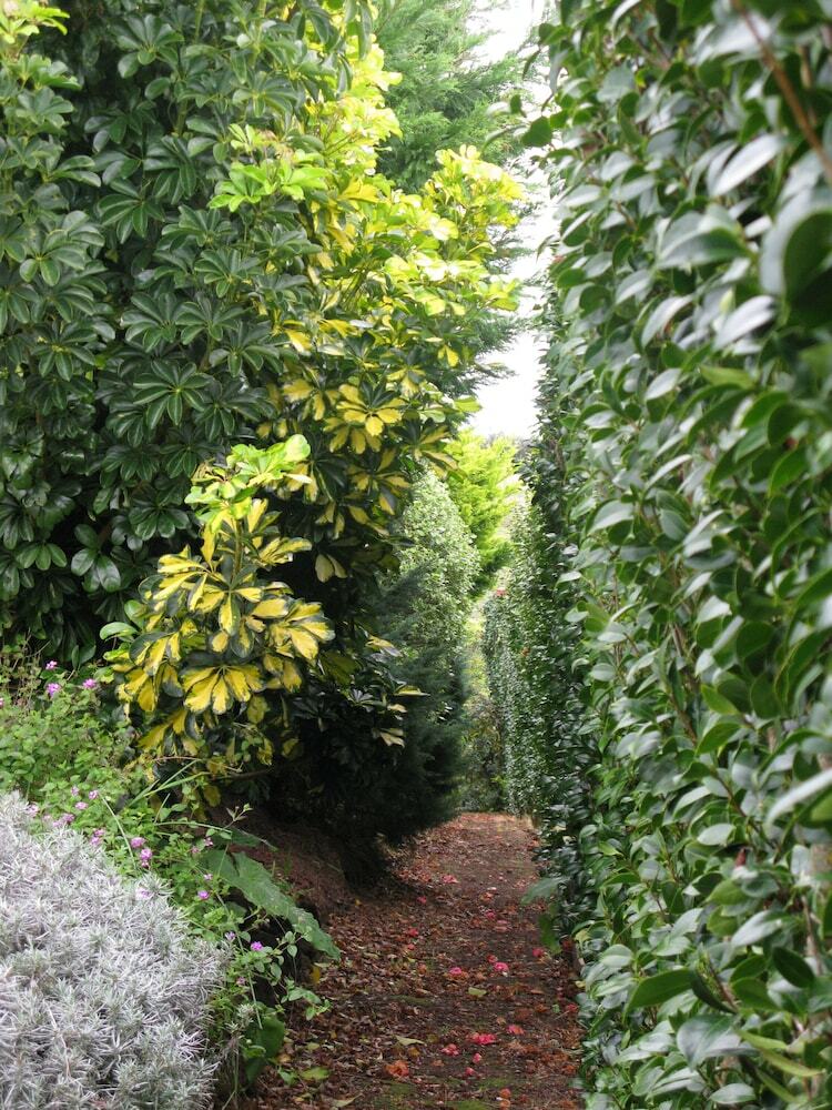 Bed & Breakfast Quinta Das Buganv�lias