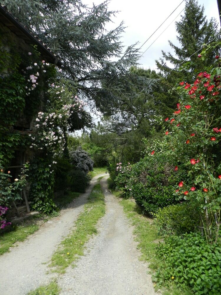 Mamota B&B