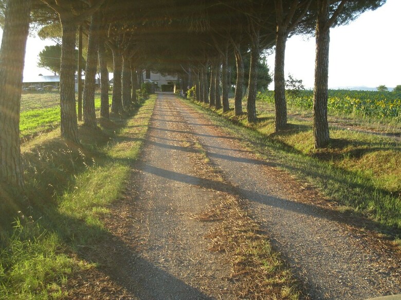 Agroturismo Boschetto Del Lago
