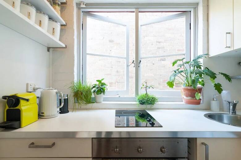 Beautiful Lush And Green Oasis Studio Apartment