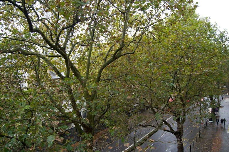 Central Waterloo 2 Bedroom Apartment With Balcony