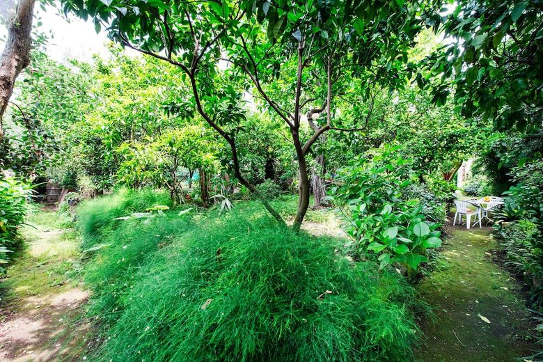 Apartamento Il Giardino Di Aranci E Limoni