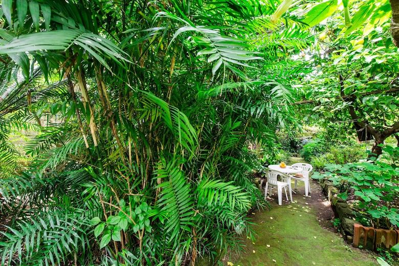 Apartamento Il Giardino Di Aranci E Limoni