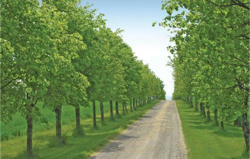Stangegaard Aakirkeby XII