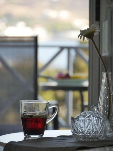 Aparthotel Galini Rooms & Apartments Syros