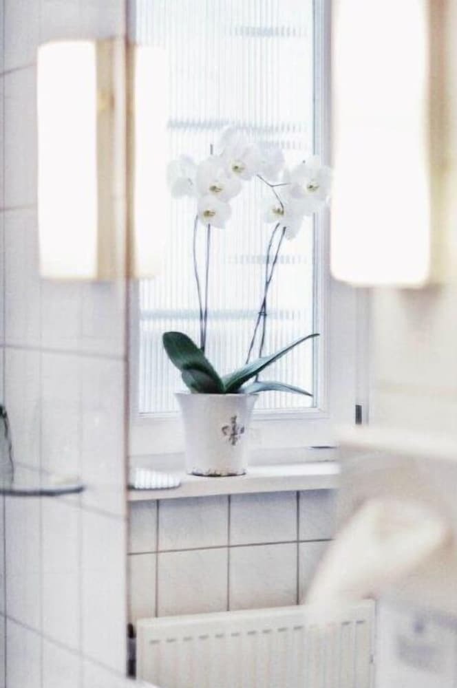 Hotel Drei Lilien