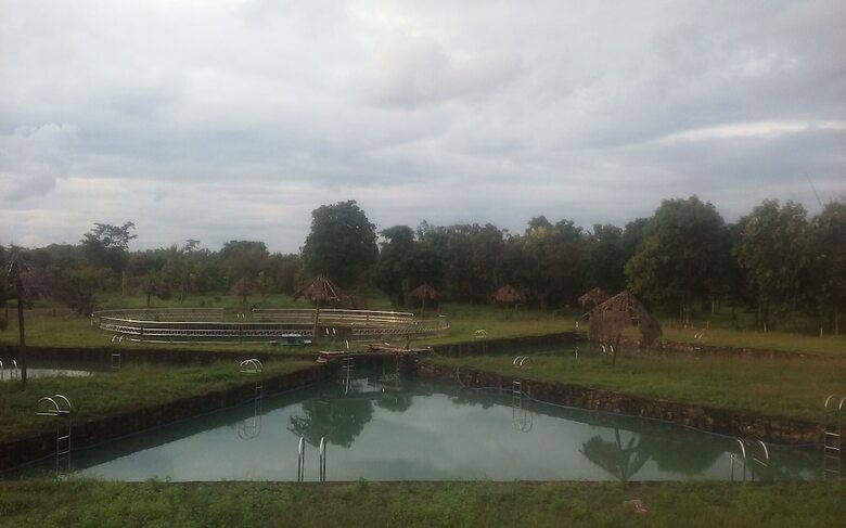 Hotel Dream Resort Farm