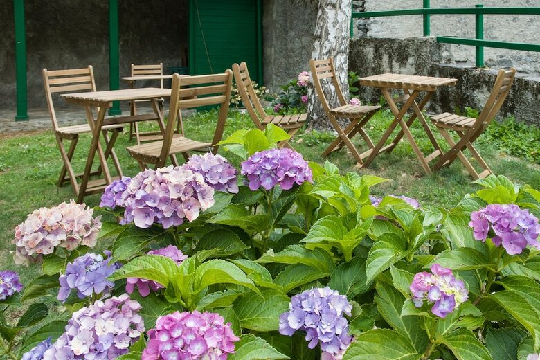 B&B Ca' D'ambra