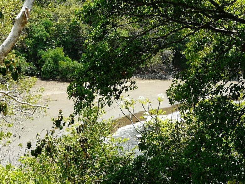 Hotel Boca Brava Lodge