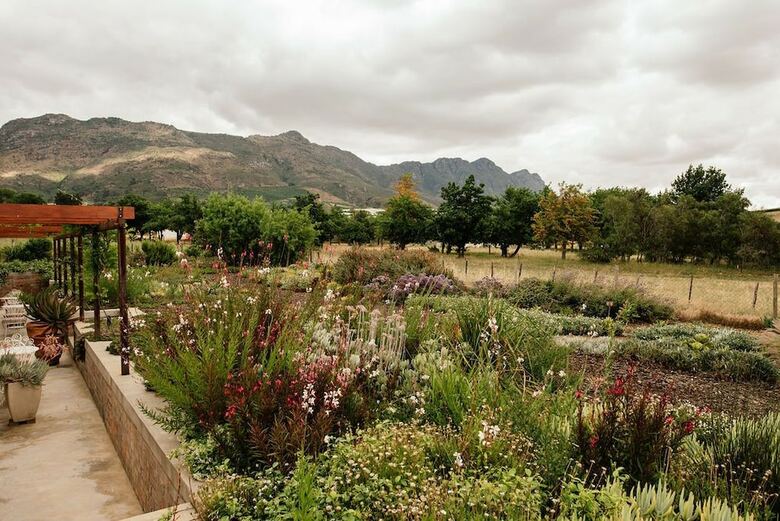 Hotel Vineyard Views Country House