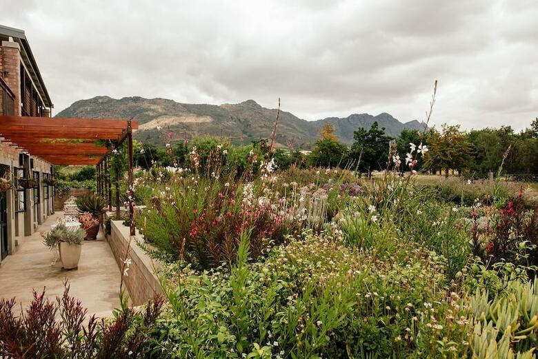Hotel Vineyard Views Country House