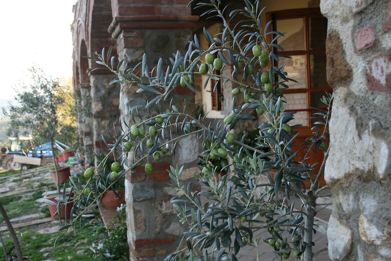 Agroturismo Agriturismo La Chiusa