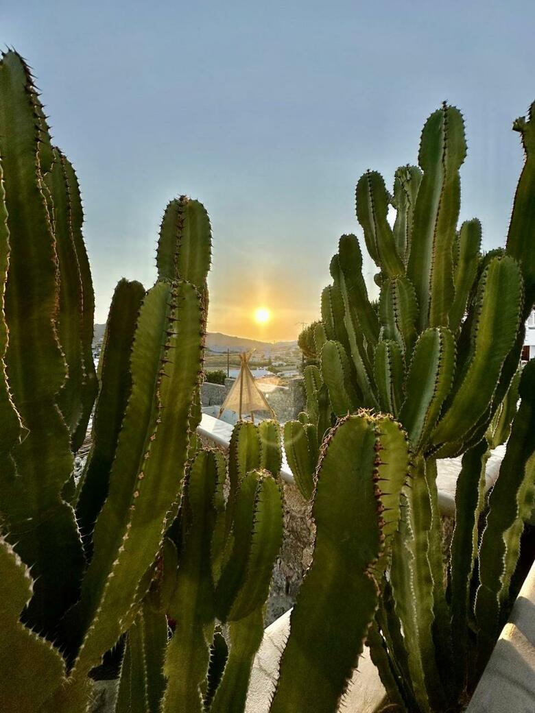 Hotel Sofos Suites Mykonos