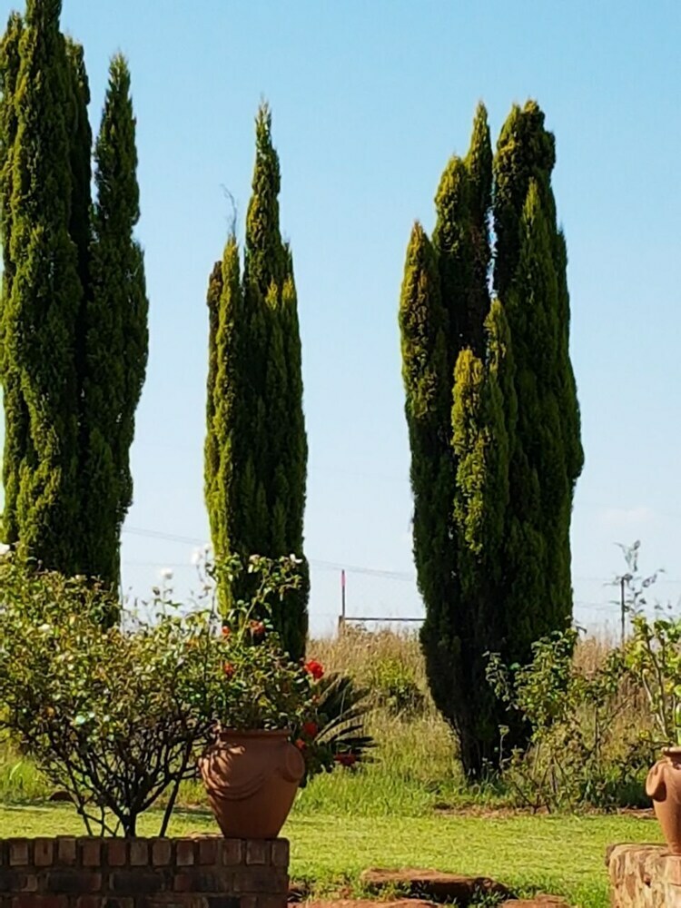 Hotel Myaula Guesthouse