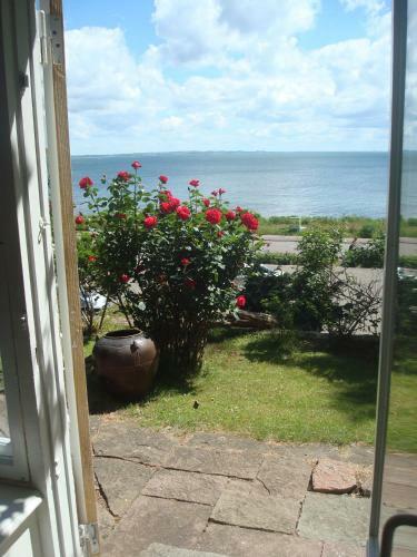 Boegeholmen Bed & Breakfast