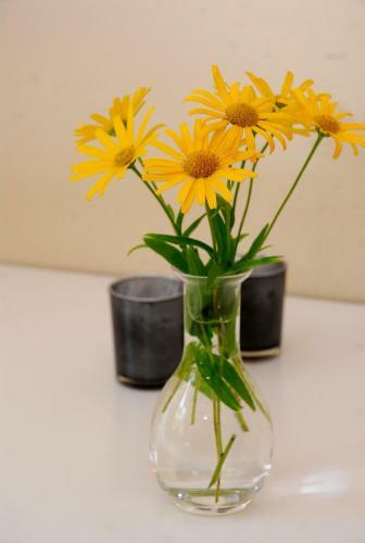 S��seg�rd Apartments
