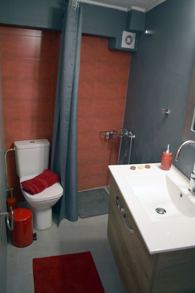 Apartamentos Vasili's House