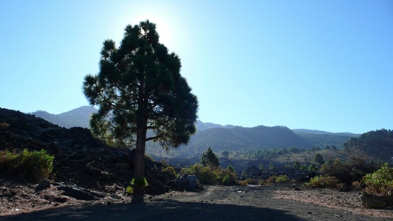 Agroturismo Casas Rurales Los Pajeros