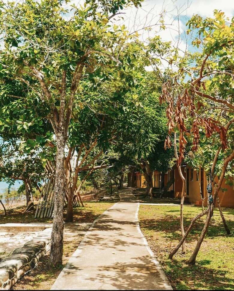 Hotel Anaconda Amazon Resort
