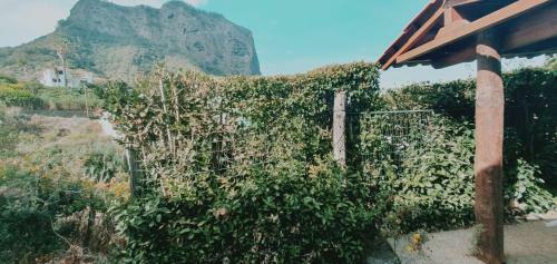Apartamentos Villa Matilde E Joaquim