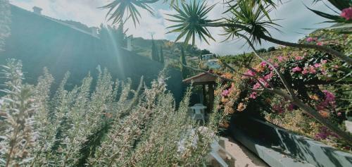 Apartamentos Villa Matilde E Joaquim