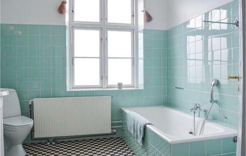 Blakke M�llegaard