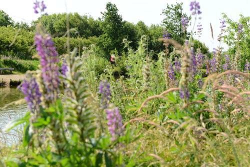 Storkes�en Ribe Holiday Cottages And Apartments