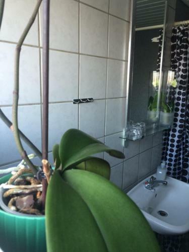 Posada Hotel Ribe