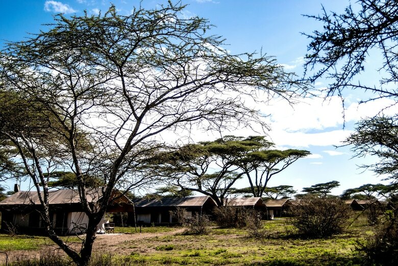 Serengeti Savannah Camps