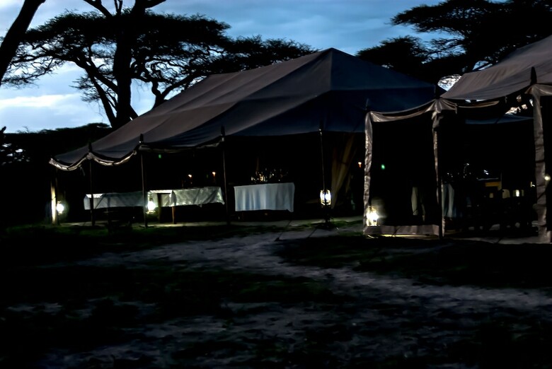 Serengeti Savannah Camps