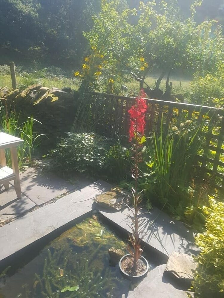Yr  Hen Farcdy Bed & Breakfast