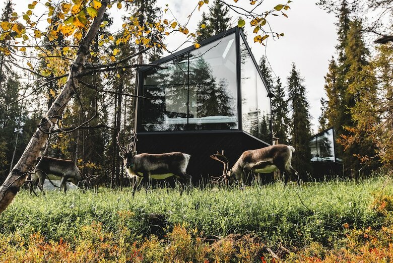 Posada Magical Pond Nature Igloos