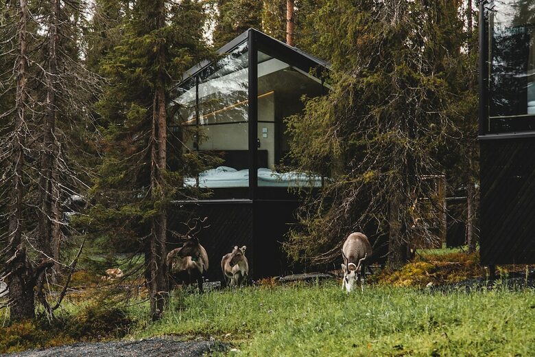 Posada Magical Pond Nature Igloos