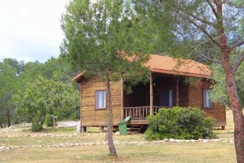 Hotel The Pine View Forest Houses