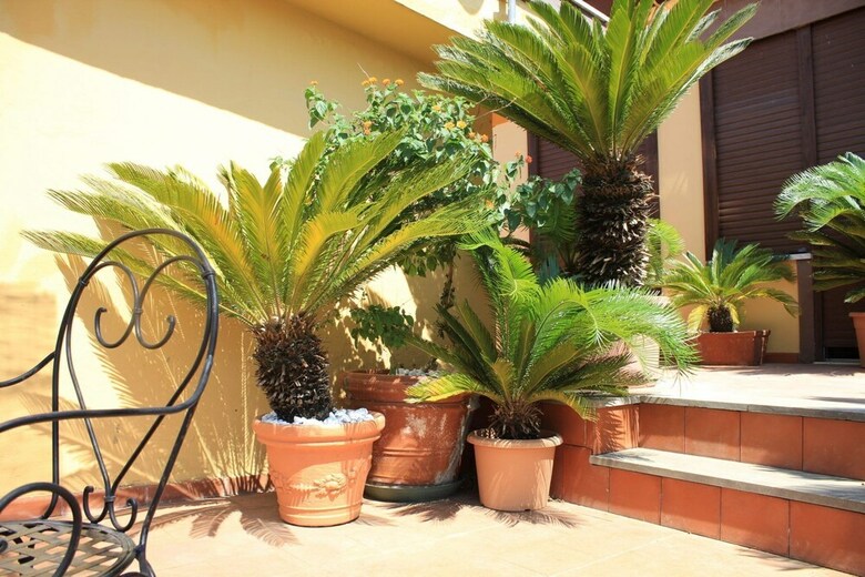 Hotel Villa Amalia Resort