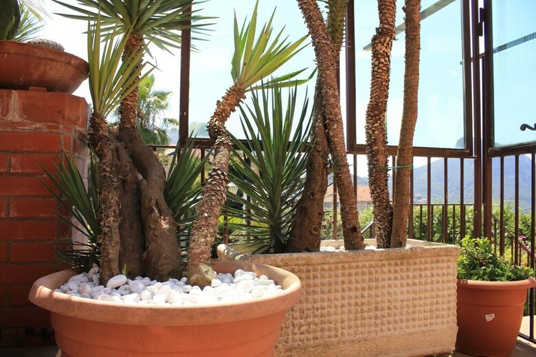 Hotel Villa Amalia Resort