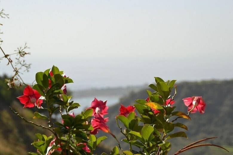 B&B Casa Margherita