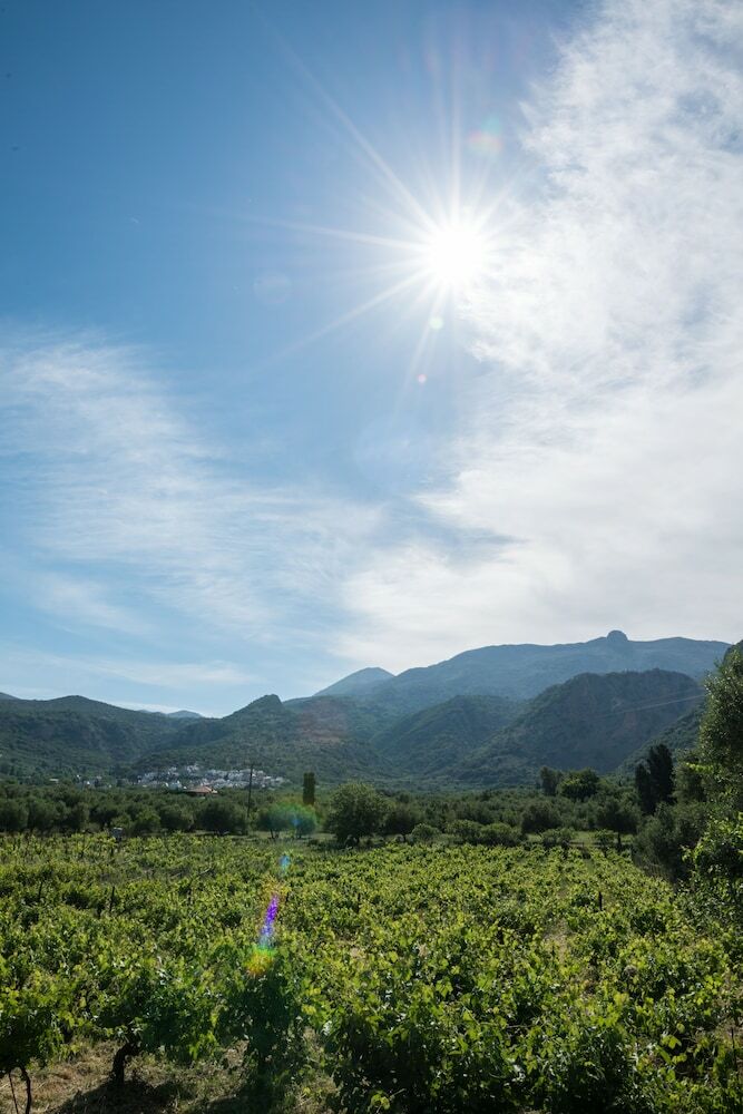 Hotel Avdou Retreat Collection