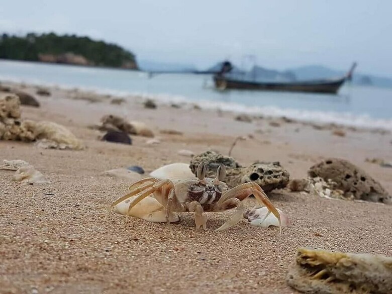 Hotel Three Monkeys Bungalows Koh Yao Noi