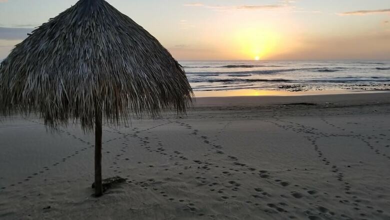 Hotel Narv�ez