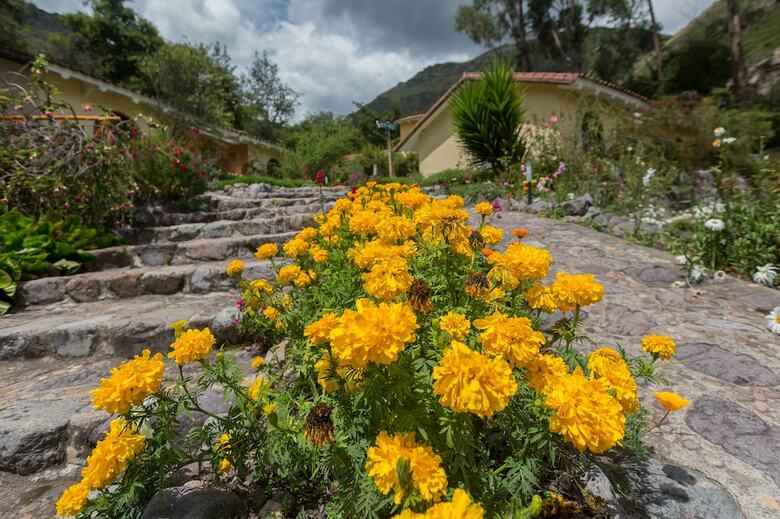 Hotel Hacienda Del Valle