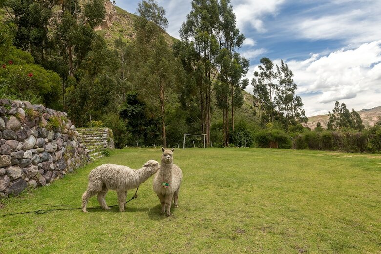 Hotel Hacienda Del Valle