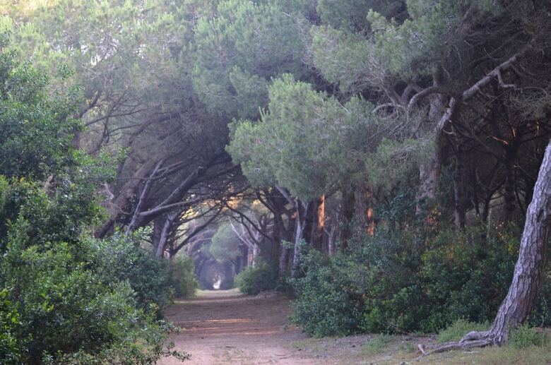 Camping Village Parco Della Gallinara