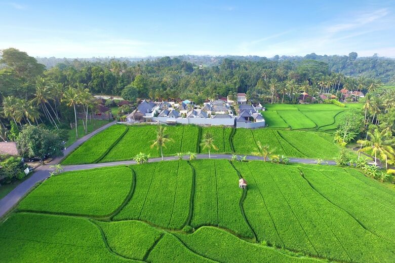 Bed & Breakfast Asvara Villa Ubud
