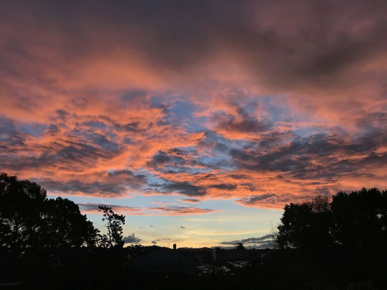Hotel Auckland Onestop