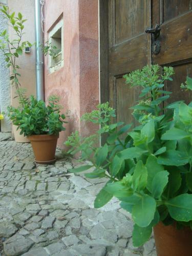 Bed & Breakfast Antico