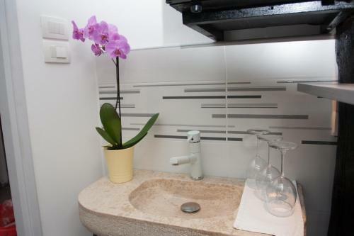 Bed & Breakfast Houses Of Motovun