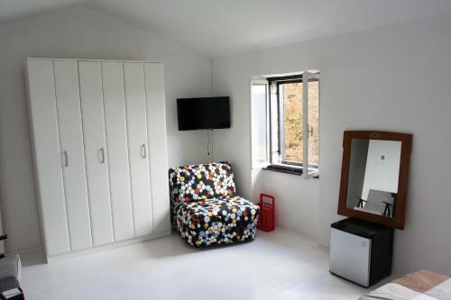 Bed & Breakfast Houses Of Motovun
