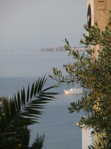 Apartments Salvore