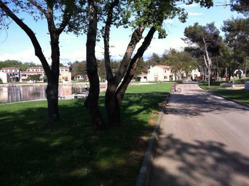 Apartments Salvore